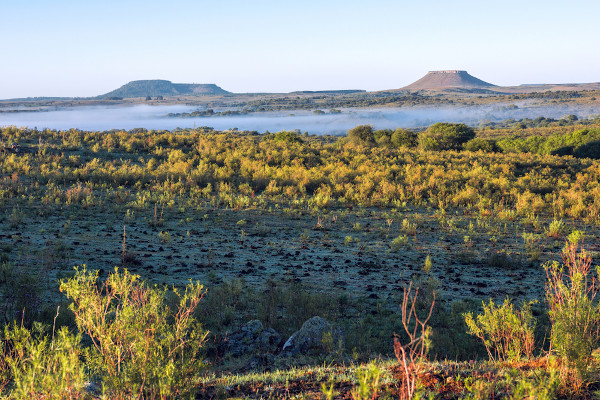Paisagem da Coxilha del Ombu, no norte do Uruguai.