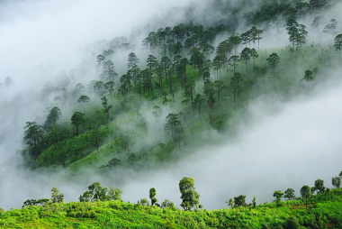 Neblina na serra Exemplo de neblina na área de uma serra